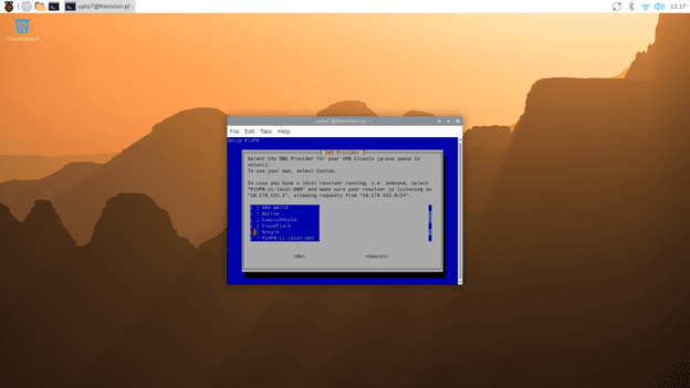PiVPN DNS selection screen